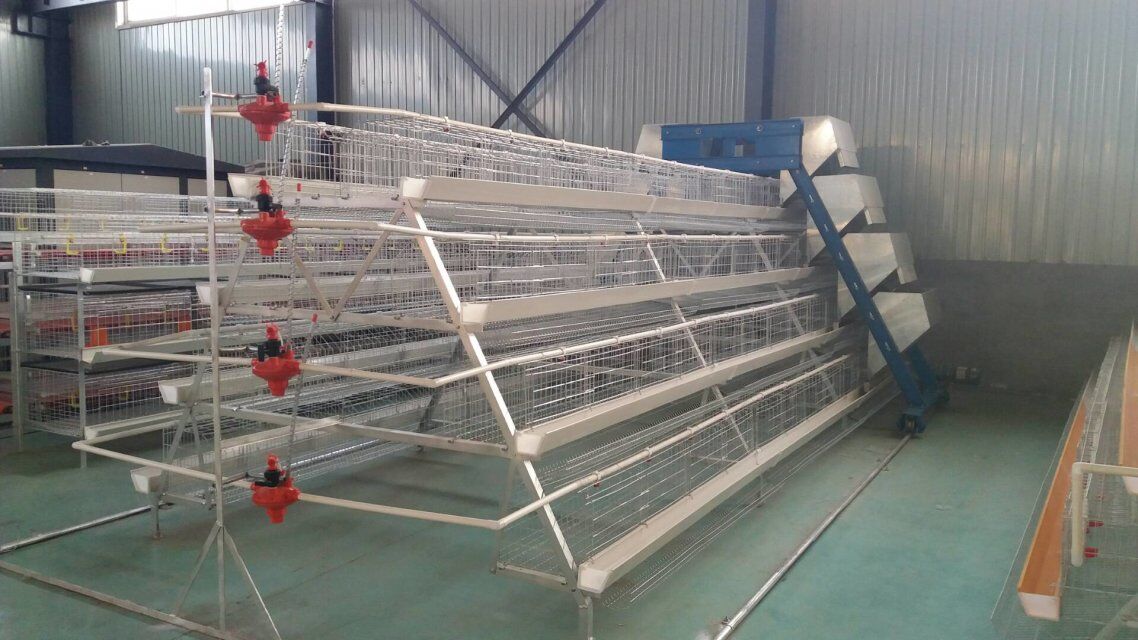 Hot dipped galvanized layer chicken cages for Guatemala cust